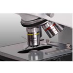 MICROS | Mikroskop | Micros Biological Microscope-Daffodil MCX100